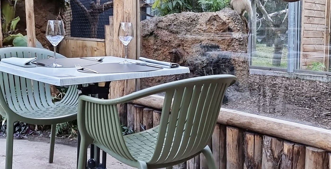 Dierentuin ZooParc Overloon organiseert wijnproeverij tussen de dieren