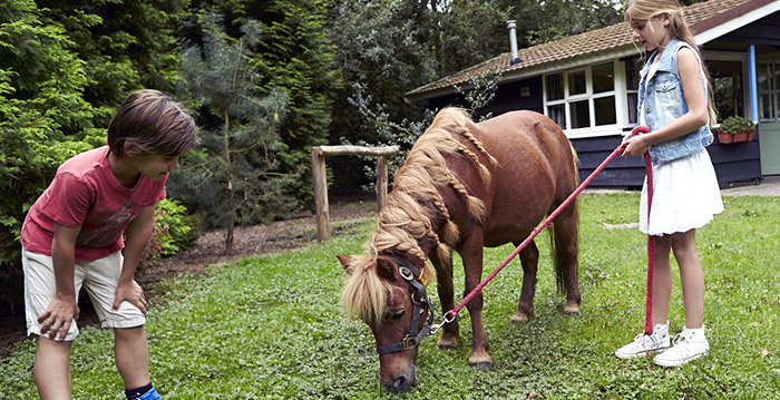 Pony's in Attractiepark Slagharen verdwijnen eind oktober