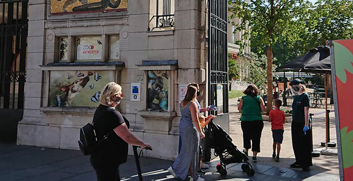 Bezoekersaantallen Zoo Antwerpen hollen achteruit