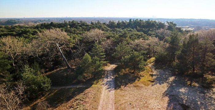 Directeur Duinrell droomt van unieke en spectaculaire achtbaan in de duinen