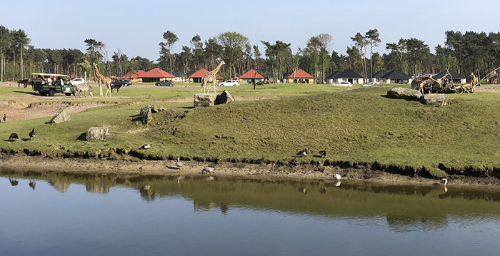 Nog nooit zo veel bezoekers in Safaripark Beekse Bergen