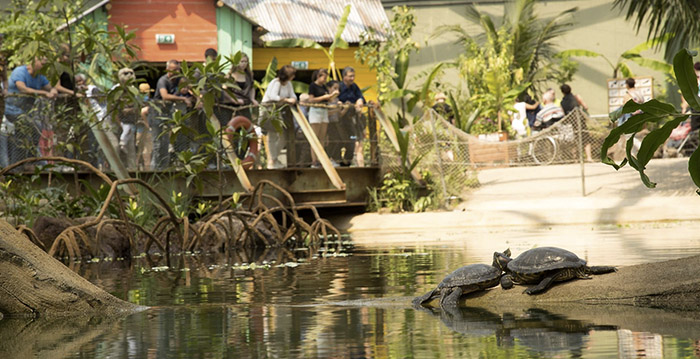 Ruim 13 procent meer bezoekers voor Burgers' Zoo