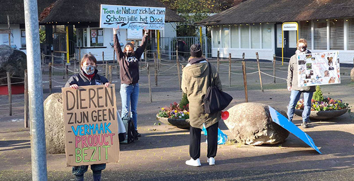 Protestactie bij DierenPark Amersfoort na doodschieten apen