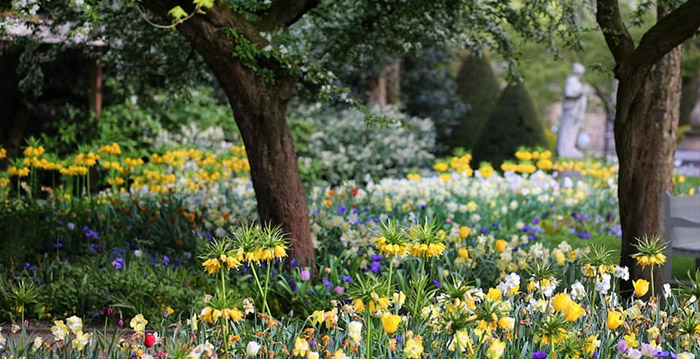 Dierentuin Artis is nu officieel een botanische tuin