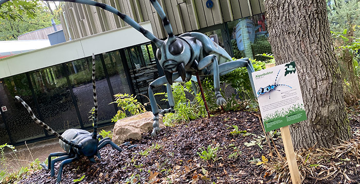 Foto's: enorme insecten nemen Burgers' Zoo over