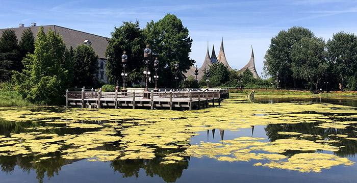 Blauwalg aangetroffen in vijver van Efteling-watershow Aquanura