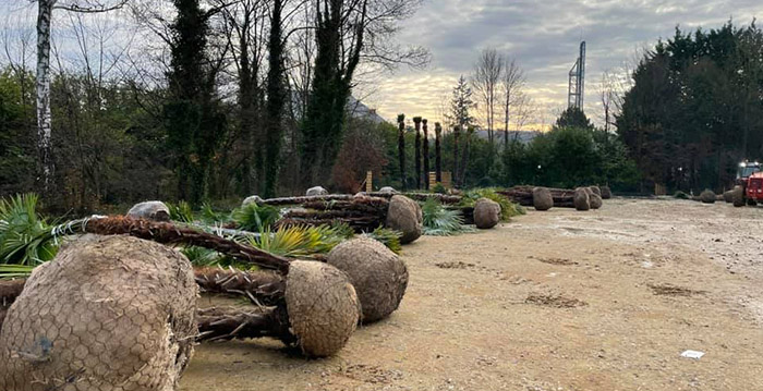 Walibi Belgium investeert in duizenden bomen en planten bij nieuwe achtbaan