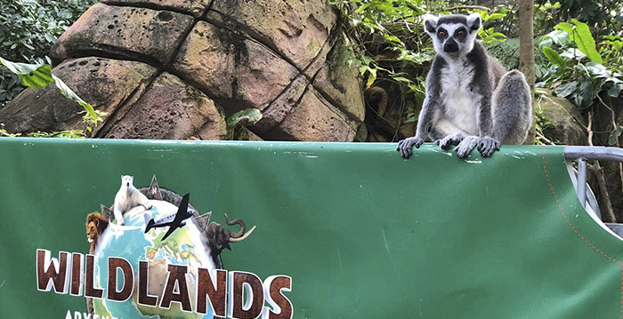 Veel nieuwe dieren in Wildlands Emmen