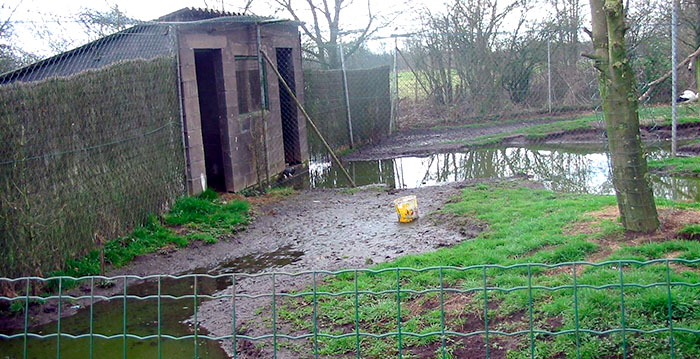 Honderd overtredingen in gesloten Belgische dierentuin