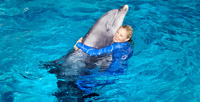 Dolfinarium: 'Bezoekers willen nog steeds dierenshows zien'