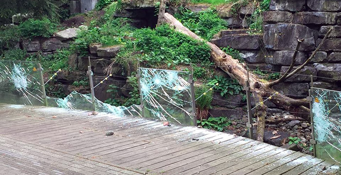 Vandalen slaan toe in Dierenpark Emmen: 'Alle verblijven gesloopt'