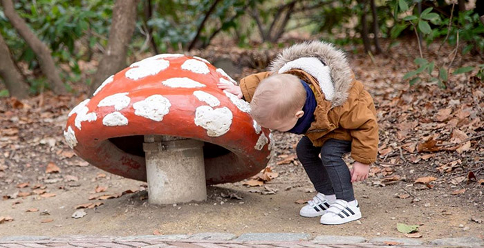 Efteling: alle plekken voor abonnementhouders de komende weken vol