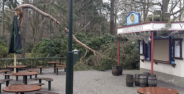 Foto's: veel stormschade in de Efteling