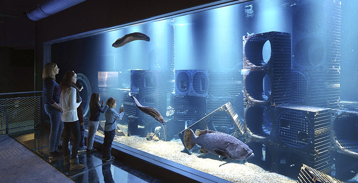 Heel boos Tips George Stevenson Dit is het grootste aquarium van Europa - Looopings.nl