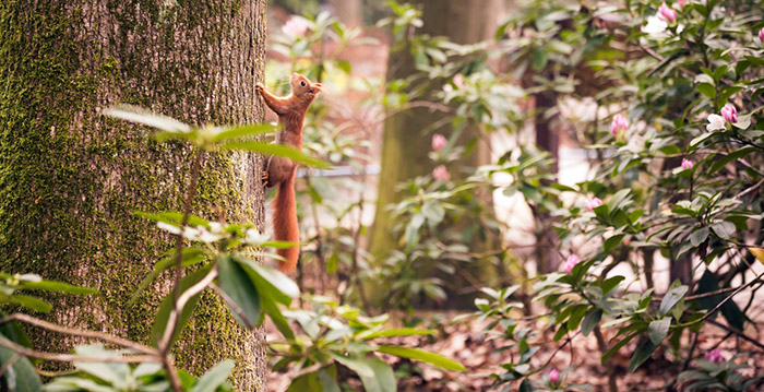 Foto's: volop lente in gesloten Efteling