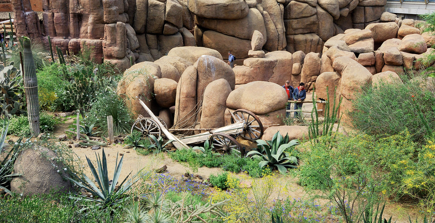 Burgers' Zoo deze zomer vijf weken lang open tot 20.00 uur