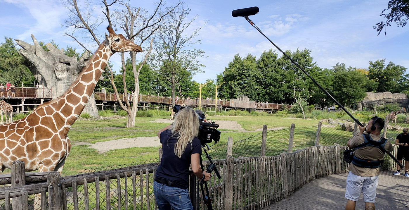 Nieuw seizoen Het Echte Leven in de Dierentuin speelt zich af in Blijdorp