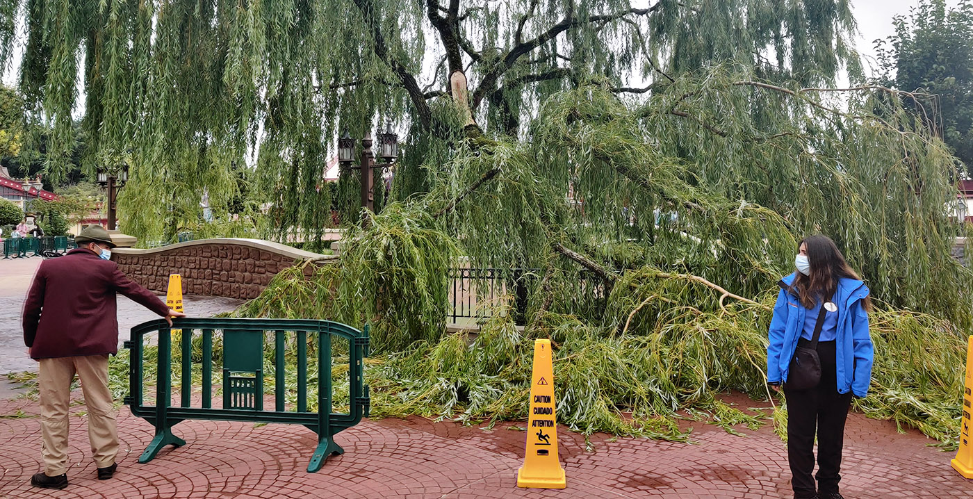 Foto's: enorme tak afgebroken in Disneyland Paris