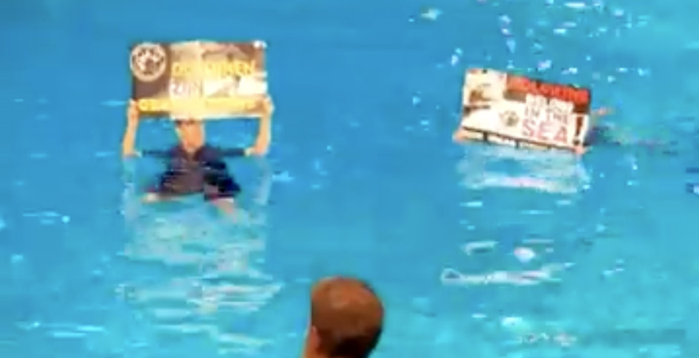 Video: Dolfinarium legt dolfijnenshow stil vanwege protestactie door Vegan Strike Group