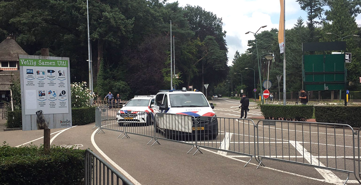 Twee wolven ontsnapt in DierenPark Amersfoort: bezoekers in veiligheid gebracht