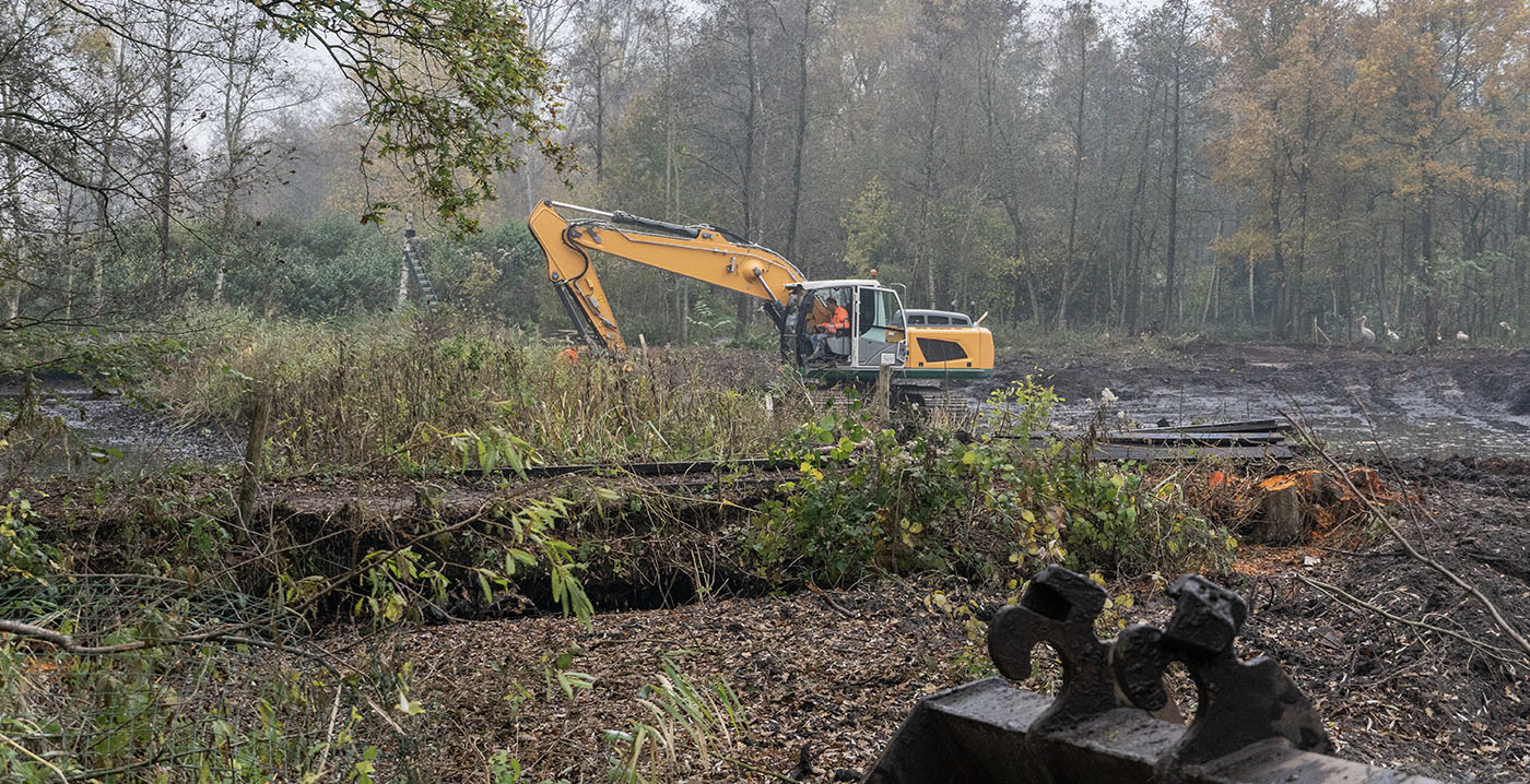 AquaZoo Leeuwarden ontwikkelt nieuw verblijf voor tijgers