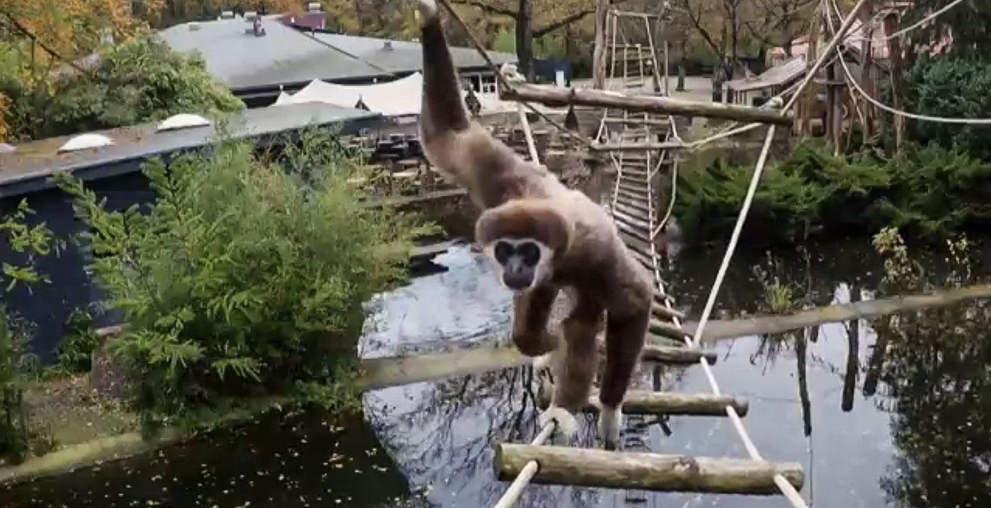 Tv-serie Het Echte Leven in de Dierentuin keert terug naar Ouwehands Dierenpark