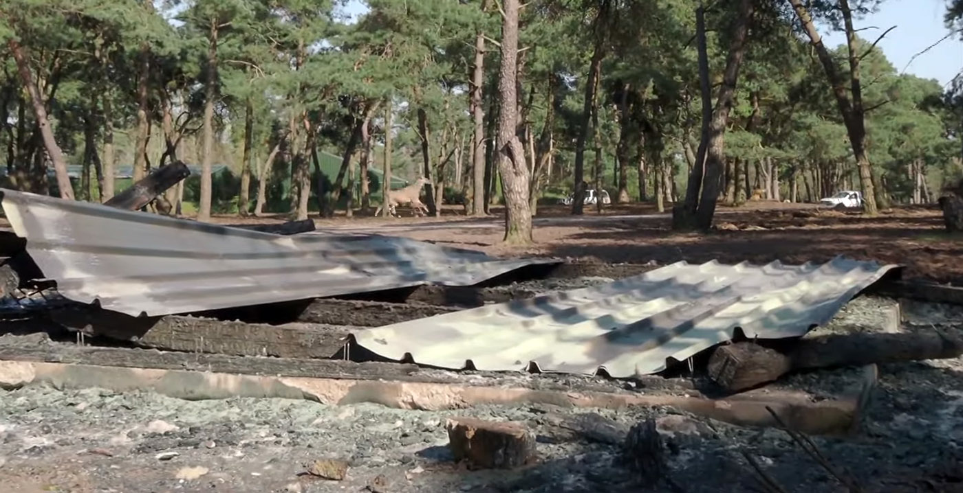 Brandstichter Beekse Bergen beweert dat hij dieren juist wilde redden