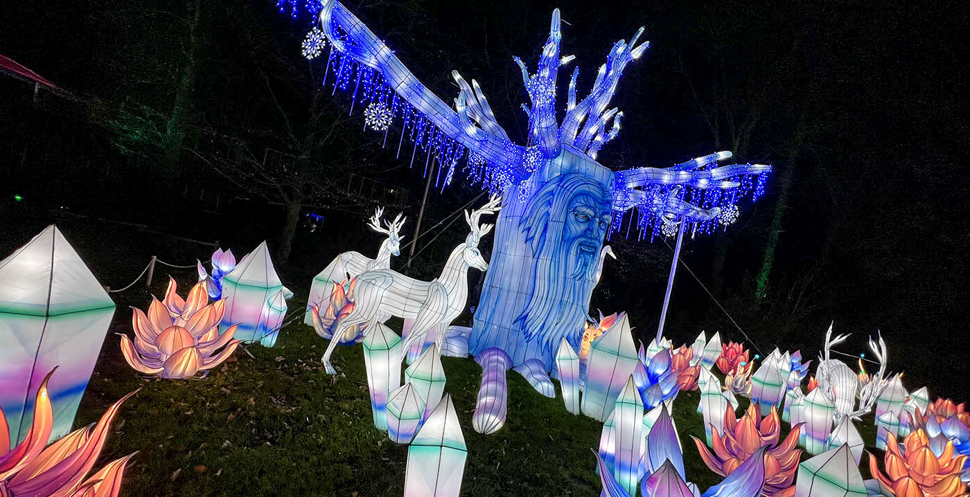 Lichtfestival Ouwehands Dierenpark verlengd tot eind maart