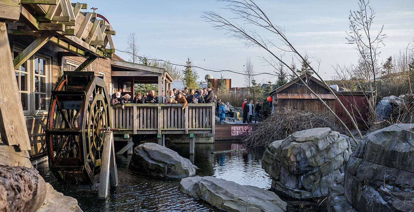 Bevers in Wildlands Adventure Zoo Emmen voor het eerst te zien