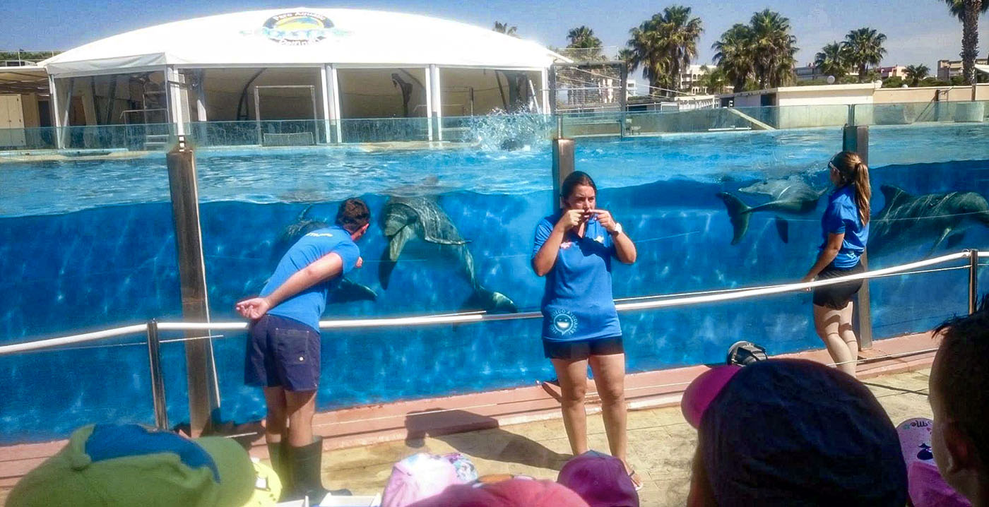 Spaans waterpark doet na 21 jaar afstand van dolfijnen