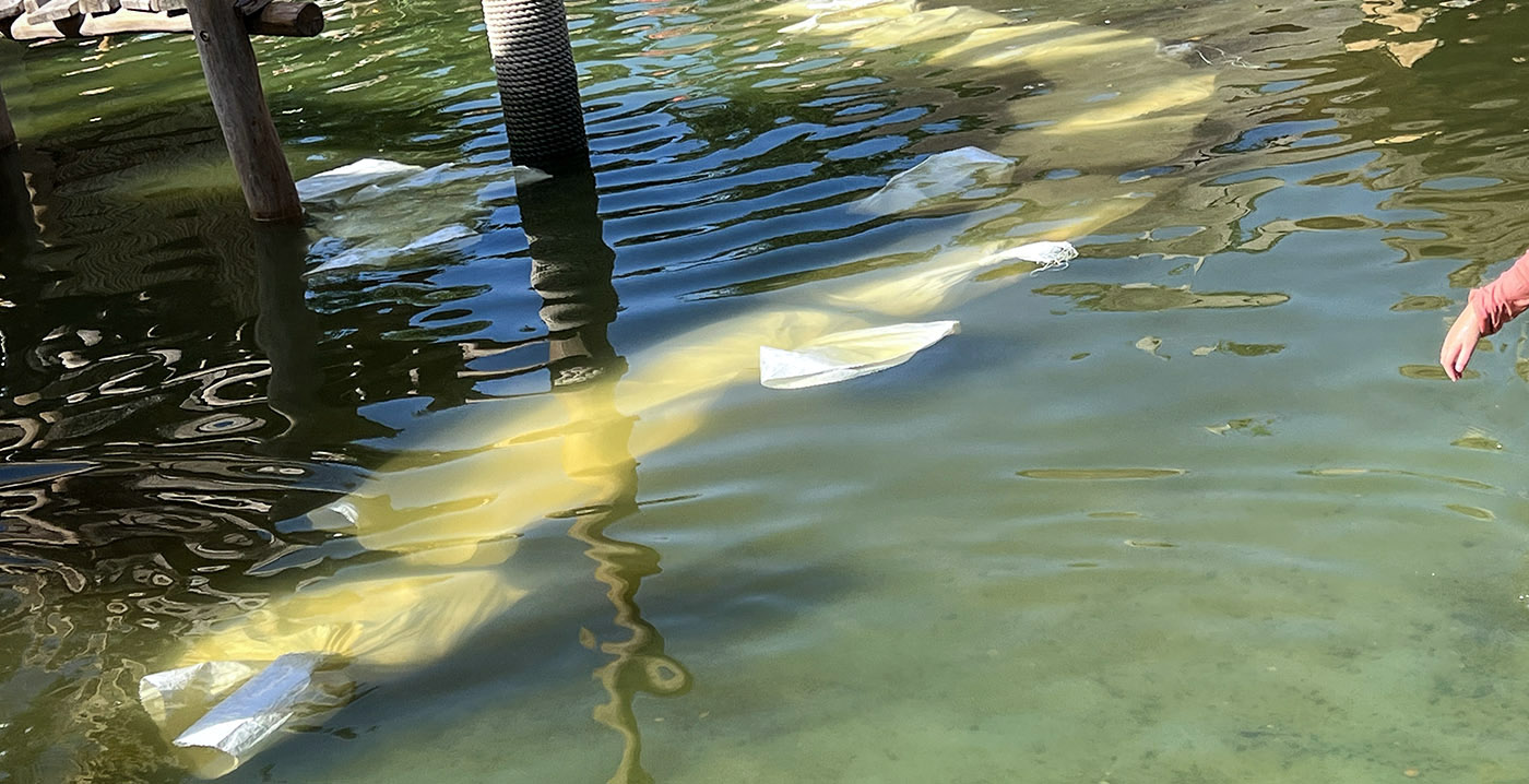 Foto's: zandzakken in waterspeeltuin Efteling vanwege scheuren in de vloer
