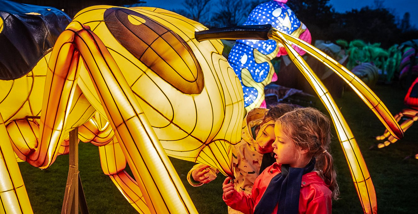 Zoo Planckendael staat 's winters vol lichtgevende insecten