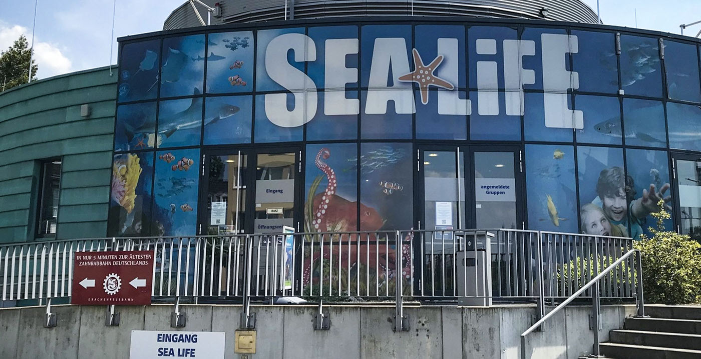 Duitse vestiging van Sea Life gaat permanent dicht