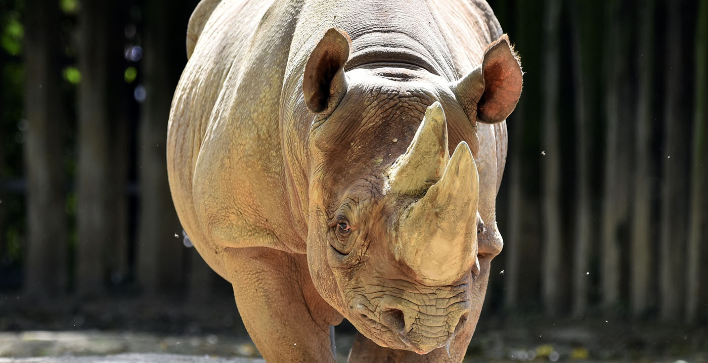 Duitse dierentuin erft miljoenen euro's van overleden vrouw