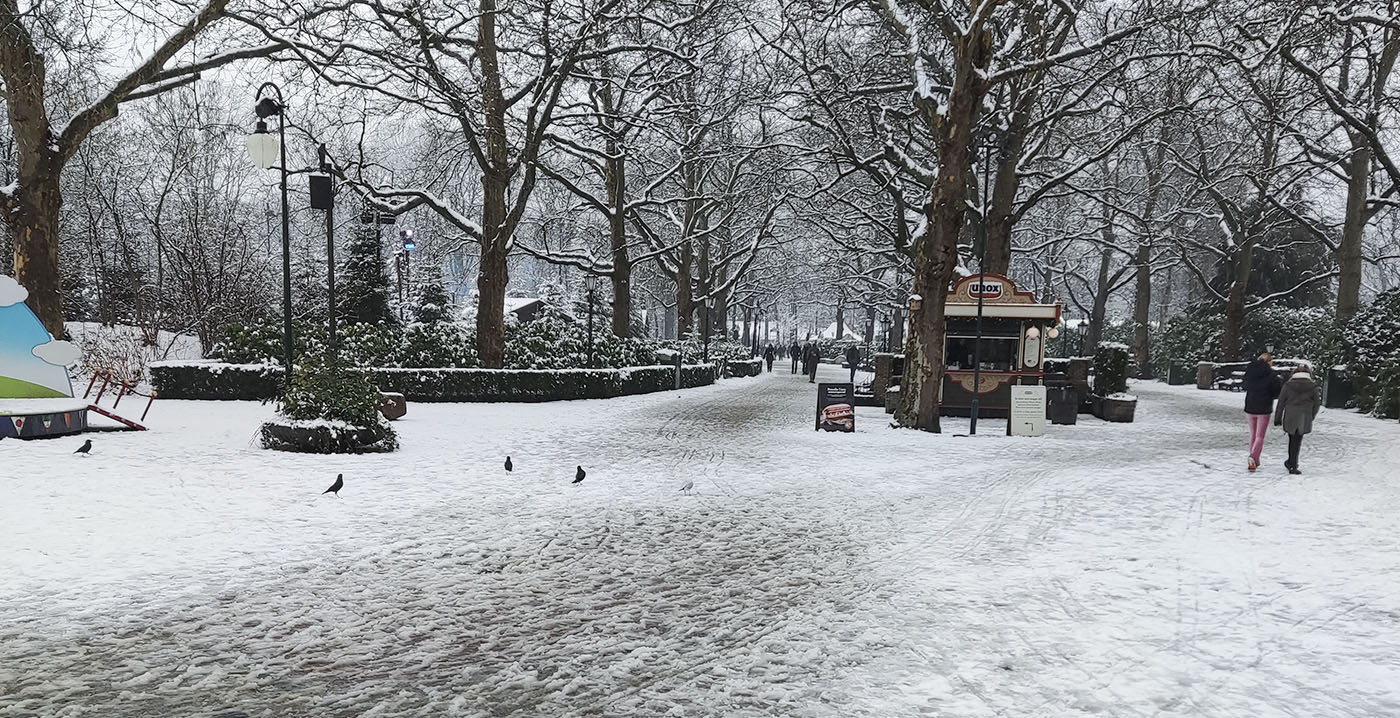 Dik pak sneeuw in de Efteling: sfeervolle plaatjes, maar ruim tien attracties dicht