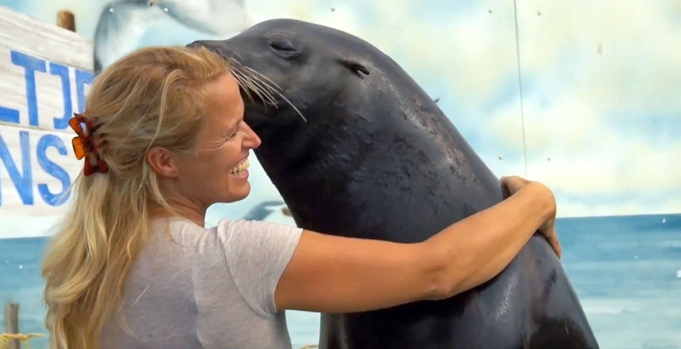 Deltapark Neeltje Jans schrapt knuffelmomenten met zeehonden en zeeleeuwen