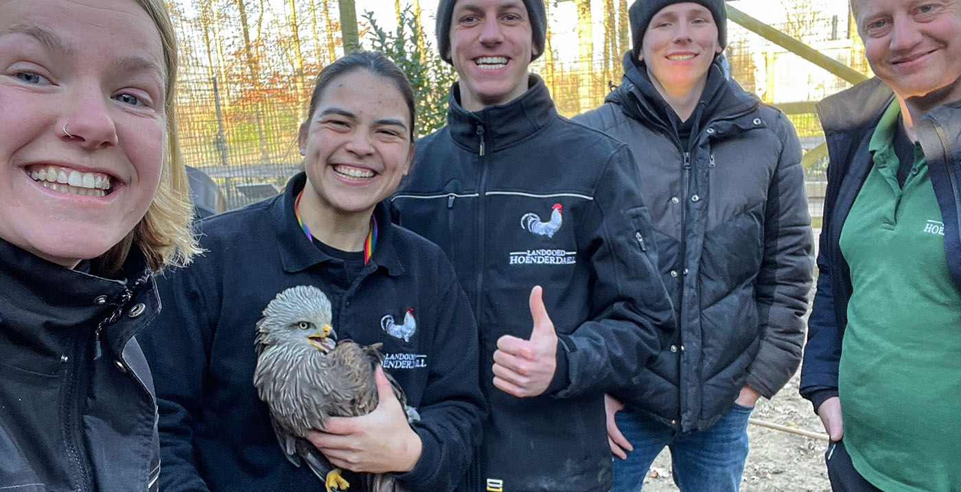 Ontsnapte roofvogel na ruim een week terug in Noord-Hollandse dierentuin