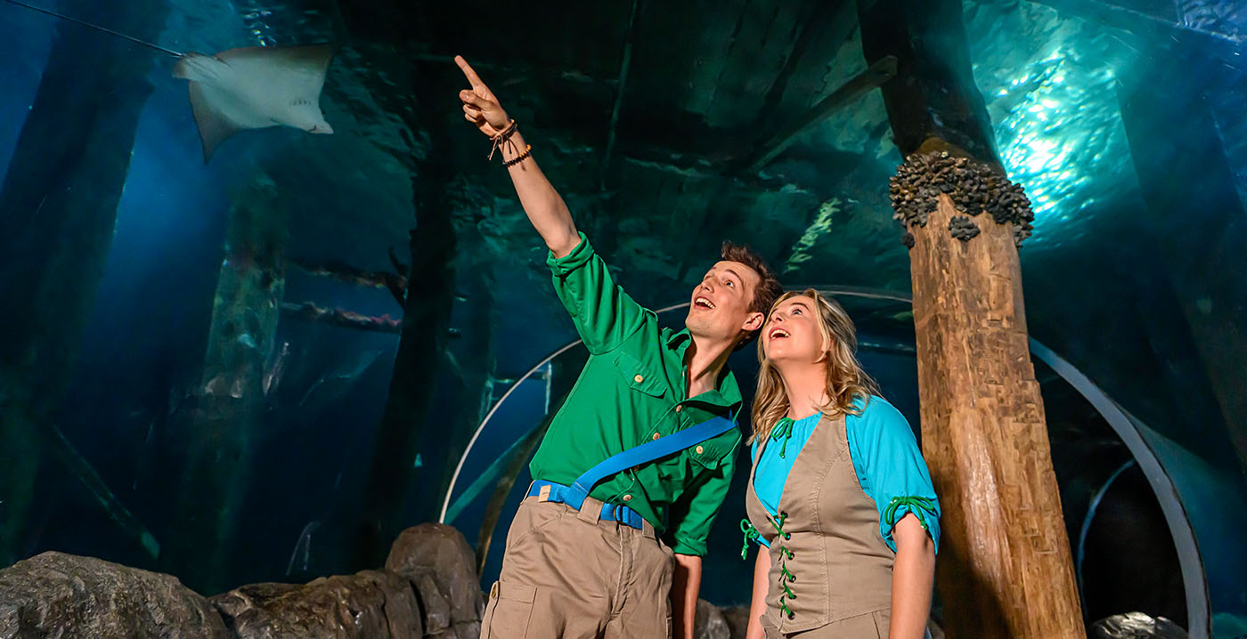 Dagelijkse zomershow in Burgers' Zoo: De Ocean Musical