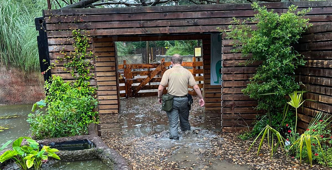 Almeerse dierentuin sluit de poorten: 'Extreme wateroverlast'