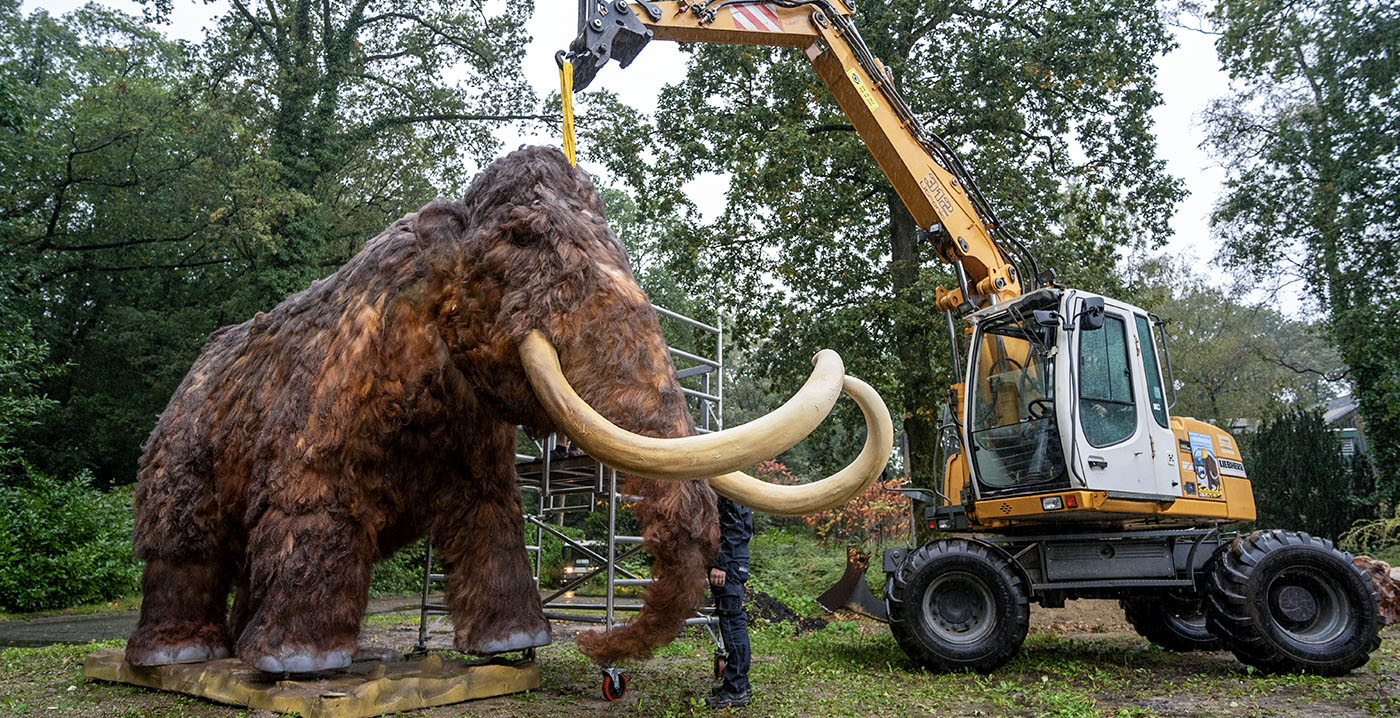 Video: reusachtige mammoet verrijst in dierentuin Burgers' Zoo