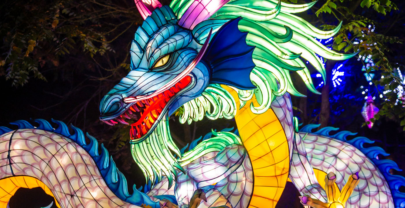 Zoo Planckendael lanceert lichtfestival Dragons & Unicorns