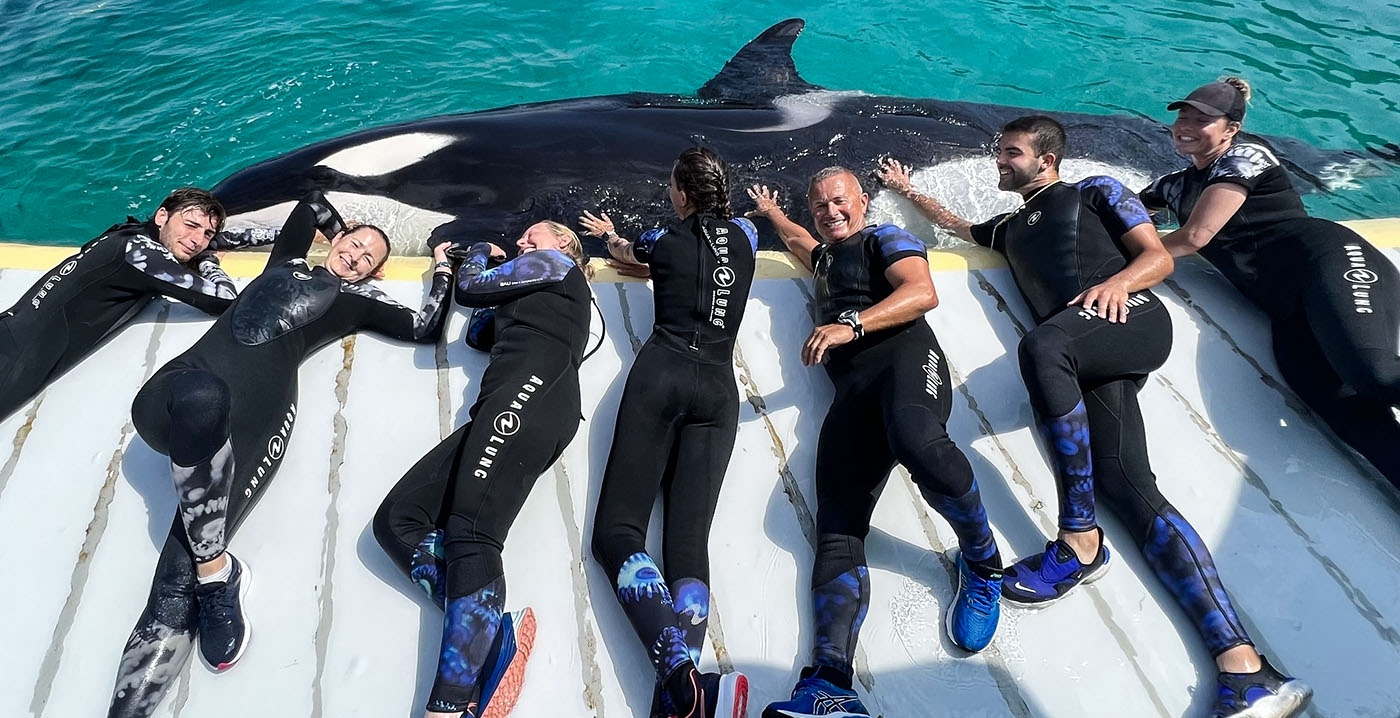 Geen killer whales meer op Europees vasteland: Frans park neemt afscheid van orka's
