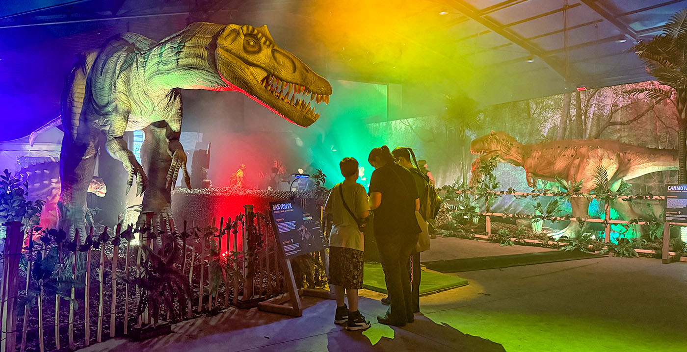 Video: Bobbejaanland transformeert showarena tot dino-attractie World of Dinos