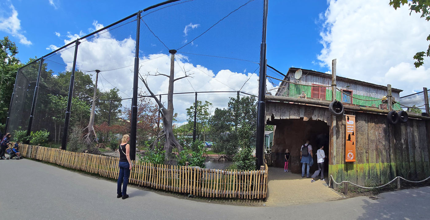 Nieuw in Diergaarde Blijdorp: de African Jungle Volière