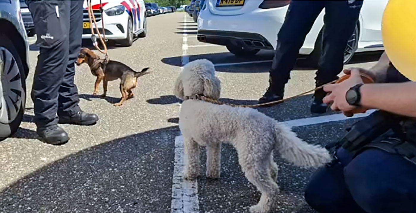 Politie bevrijdt honden uit twee campers op parkeerplaats Efteling