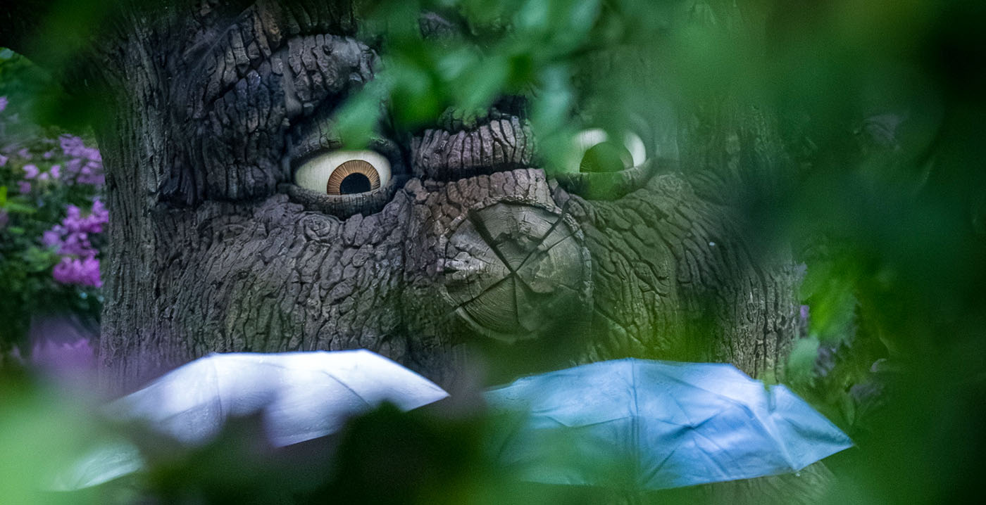 Efteling start komende week met kappen van bomen in het Sprookjesbos