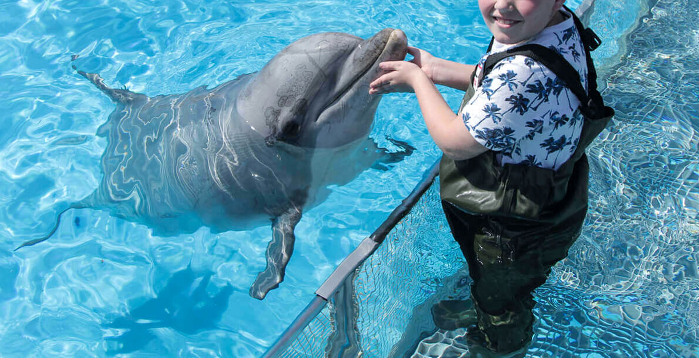 Dolfinarium past ontmoetingen met dolfijnen toch aan: geen fotomoment meer