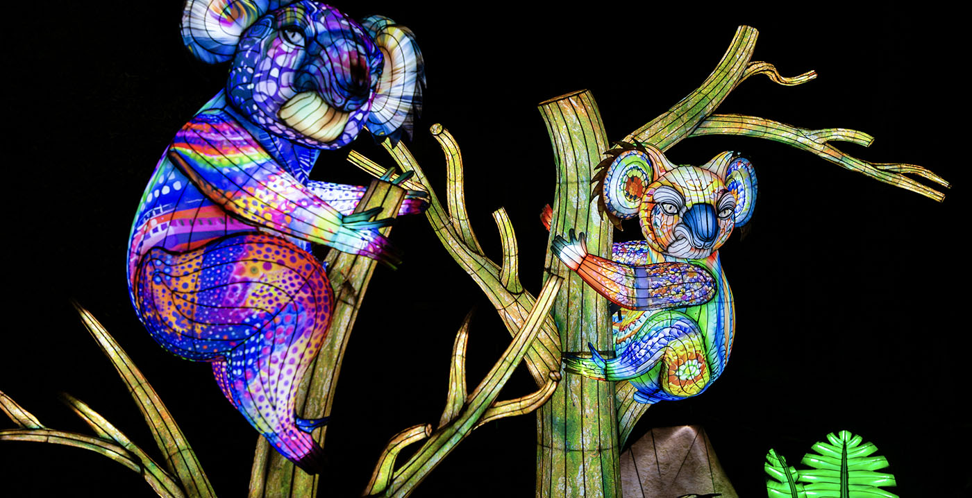 Komende vier maanden Light Nights in Ouwehands Dierenpark: kleurrijke lichtsculpturen