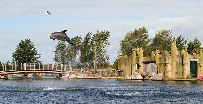 Stijgende lijn voor Dolfinarium: geen verlies meer