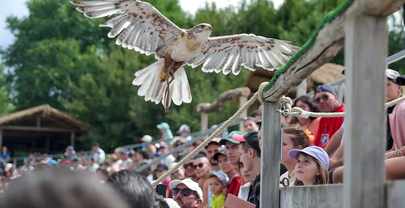 Bezoeker zwaargewond bij vogelshow: man valt van tribune
